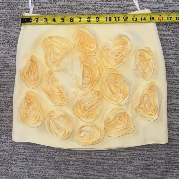 NWT Luxe Dress Rose-appliqué Cropped Top / Skirt Set In Gelb Yellow Large - Picture 8 of 16